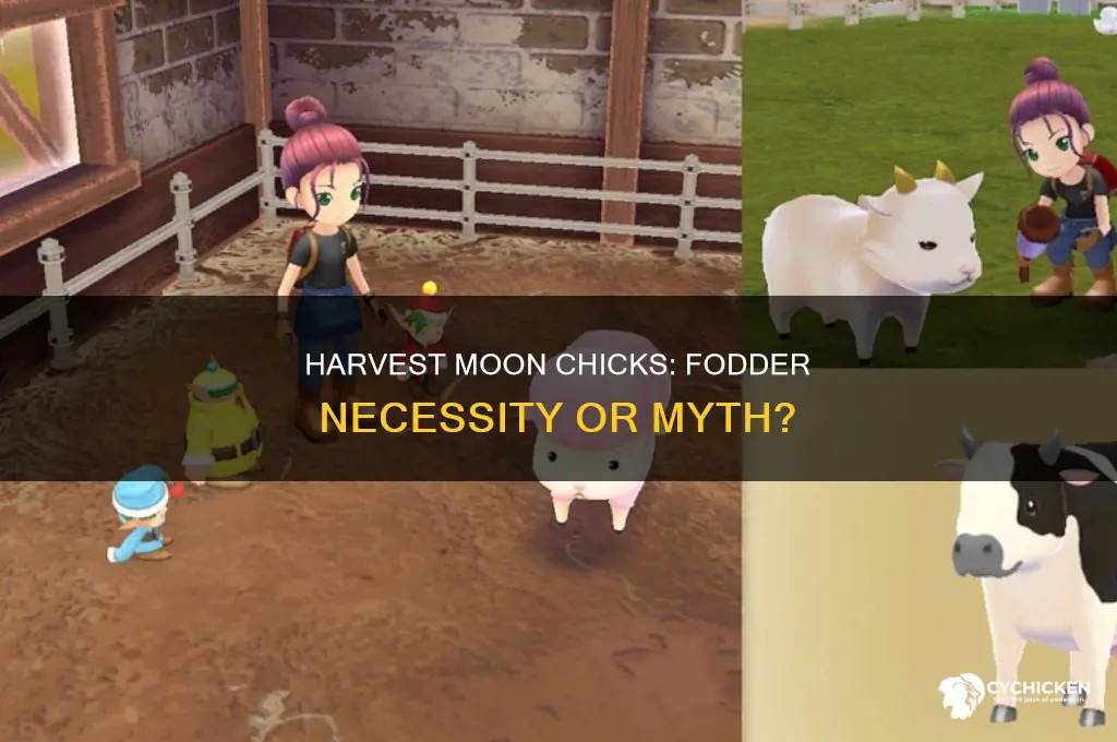 do chicks in harves moon require fodder