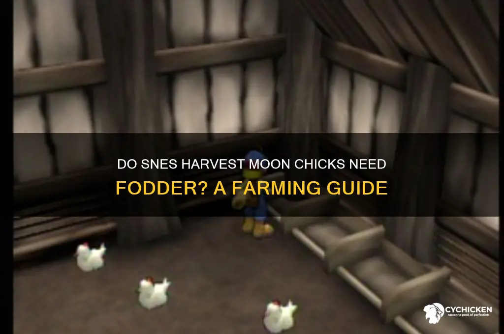 do chicks in snes harves moon require fodder