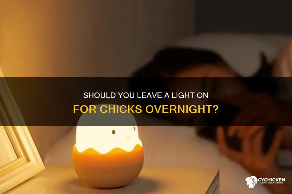 do chicks need a light at night