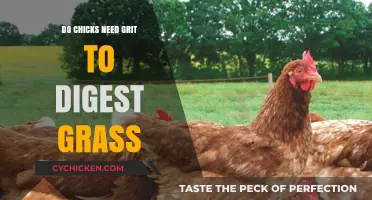 Do Chicks Need Grit to Digest Grass? Essential Facts for Poultry Keepers