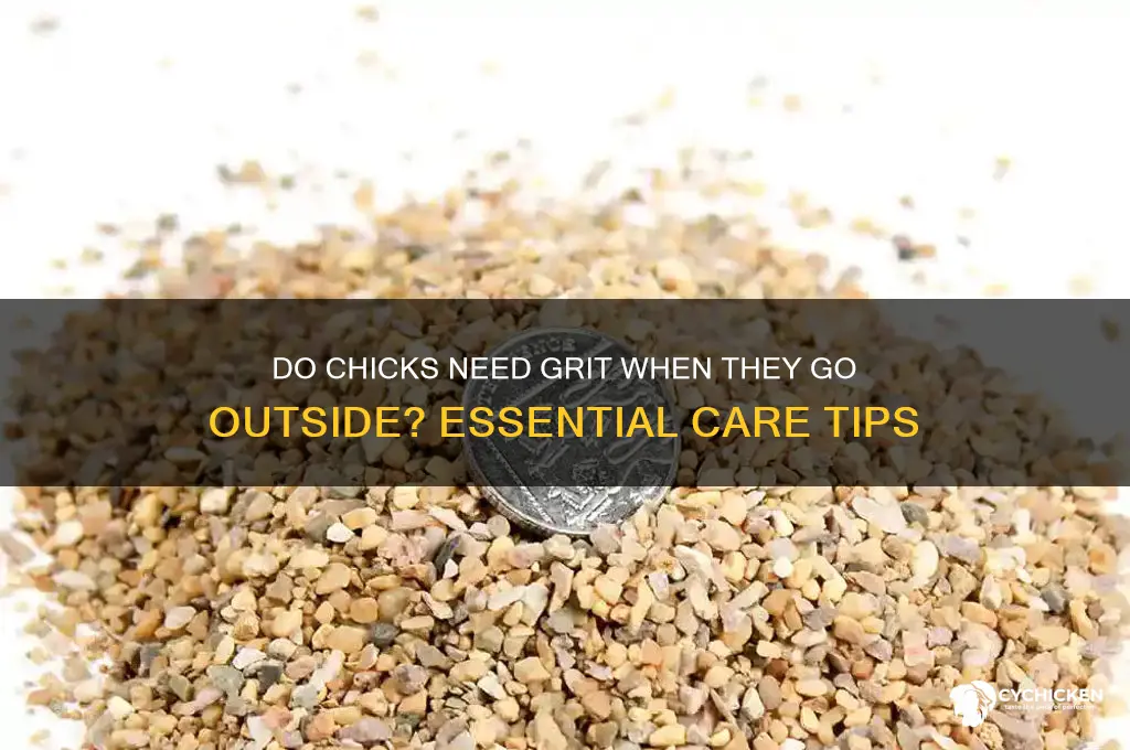 do chicks need grit whwn they go outside
