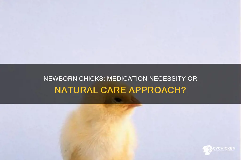 do chicks need medication when theyre born
