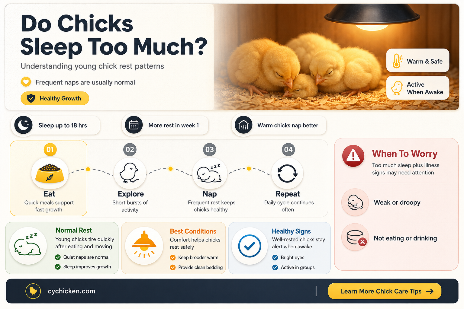 are chicks supposed to sleep a lot