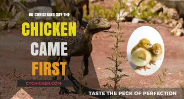 Did the Chicken Come First? A Christian Perspective on Creation