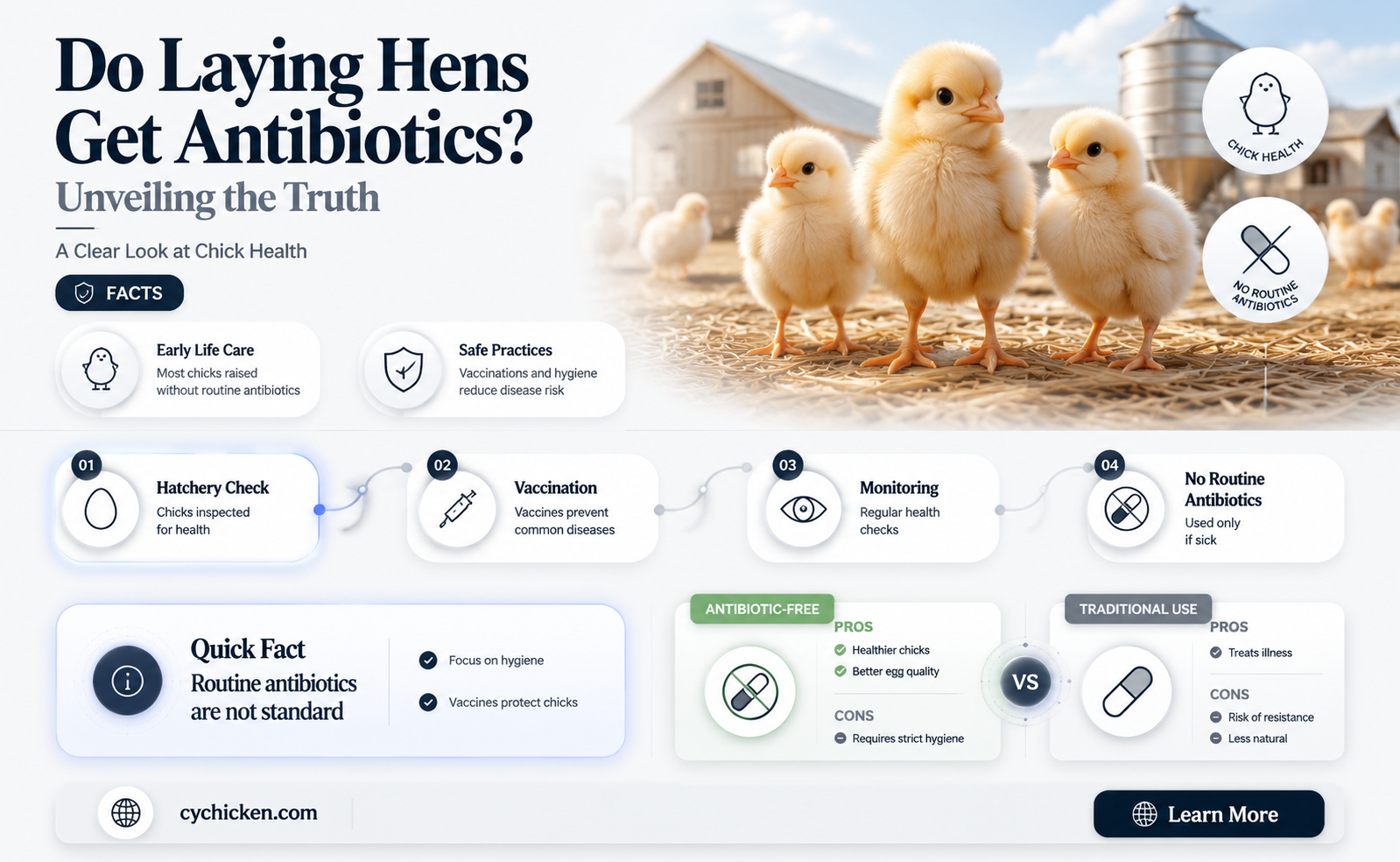 are commercial laying hens fed antibiotics as chicks