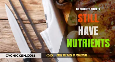 Corn-Fed Chicken: Nutrient-Rich or Nutritionally Deficient? Unveiling the Truth