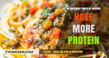 Chicken Protein Breakdown: Which Parts Pack the Most Punch?