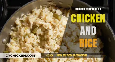 Chicken and Rice Diet: Does It Reduce Dog Poop Frequency?