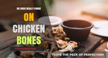 Can Dogs Safely Eat Chicken Bones? Debunking the Choking Myth