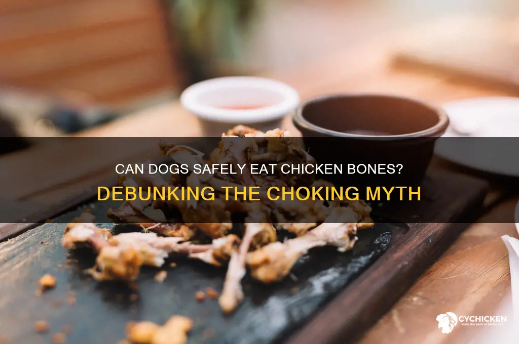 do dogs really choke on chicken bones