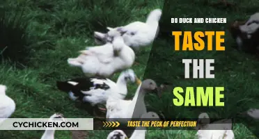 Duck vs. Chicken: Unraveling the Flavor Differences in Poultry