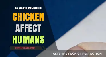 Growth Hormones in Chicken: Potential Health Impacts on Humans Explained