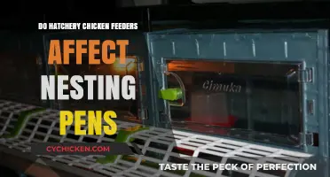 Hatchery Chicken Feeders: Impact on Nesting Pens Explored