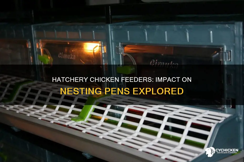 do hatchery chicken feeders affect nesting pens