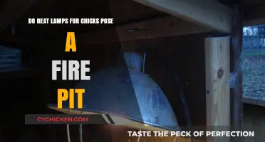 Heat Lamps for Chicks: Fire Hazards and Safety Tips