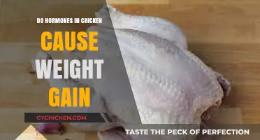 Hormones in Chicken: Do They Contribute to Weight Gain?
