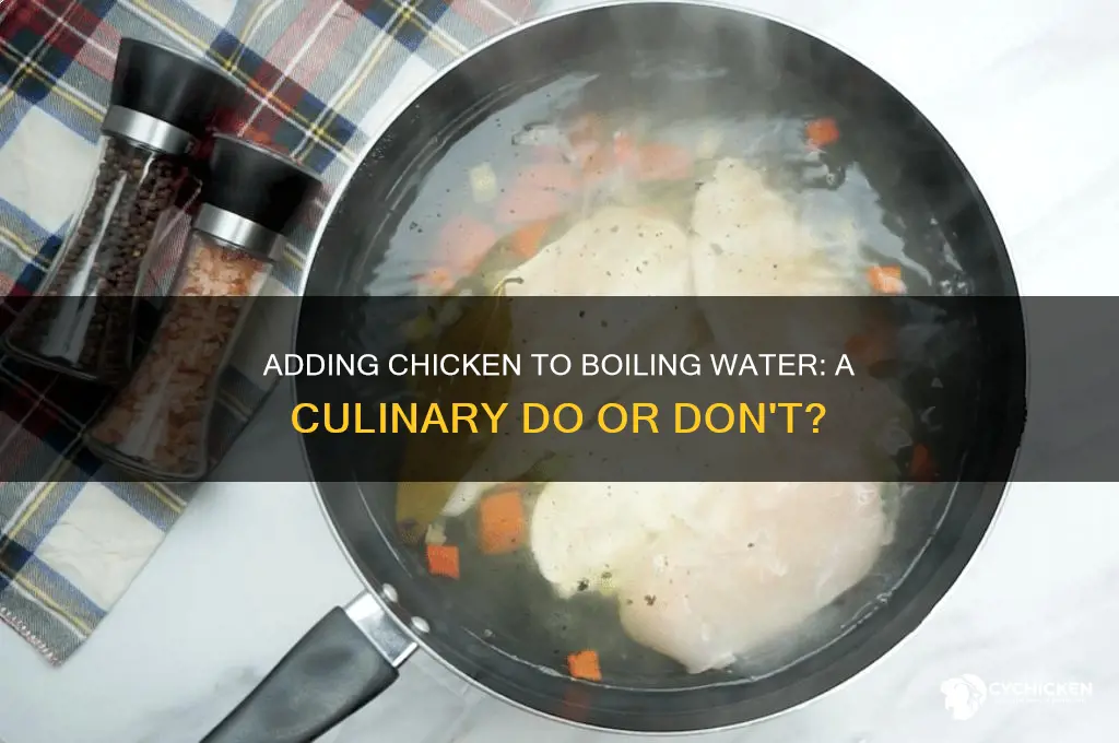 do i add chicken to boiling water