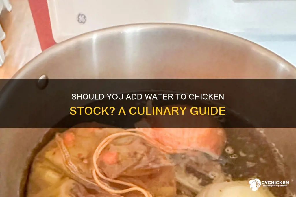 do i add water to chicken stock