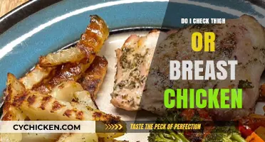 Thigh vs. Breast: Which Chicken Cut Should You Choose?