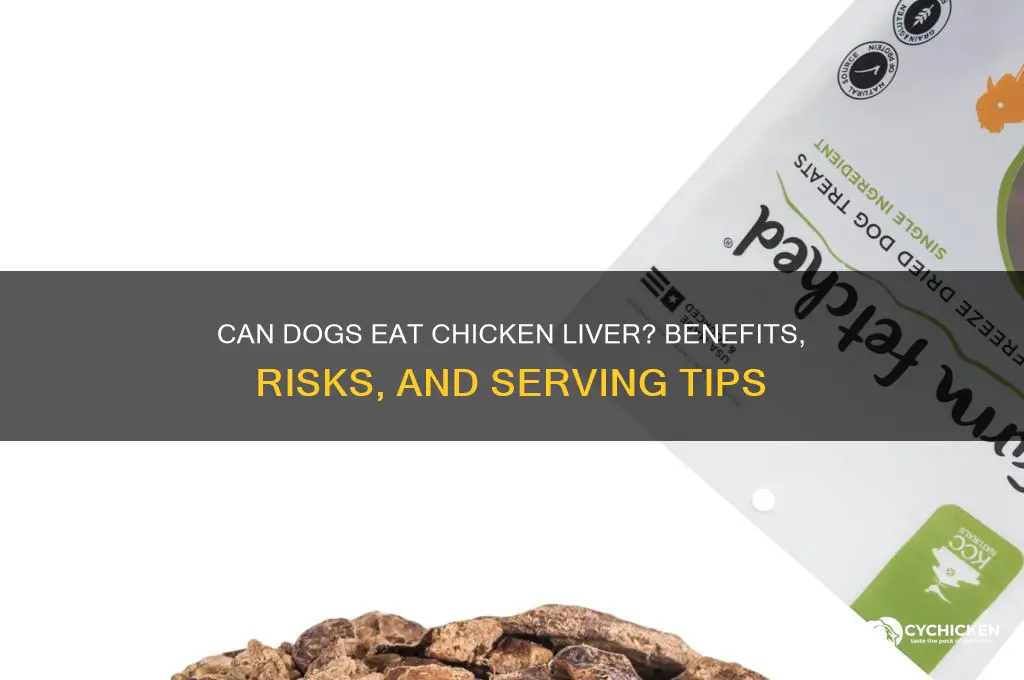 do i give chicken liver to my dog