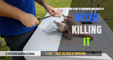 When to Gut a Chicken After Killing It