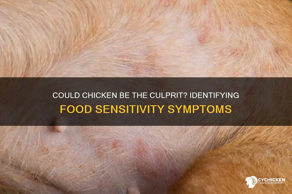 do i have a food sensitivity to chicken