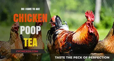 Aging Chicken Poop Tea: Is It Necessary for Garden Success?