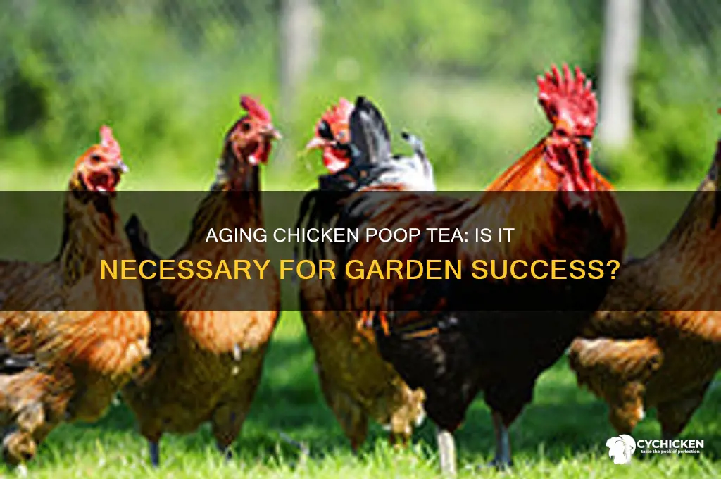 do i have to age chicken poop tea