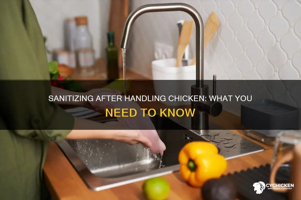 do i have to clean everything after touching chicken