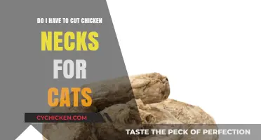 Should You Cut Chicken Necks for Cats?