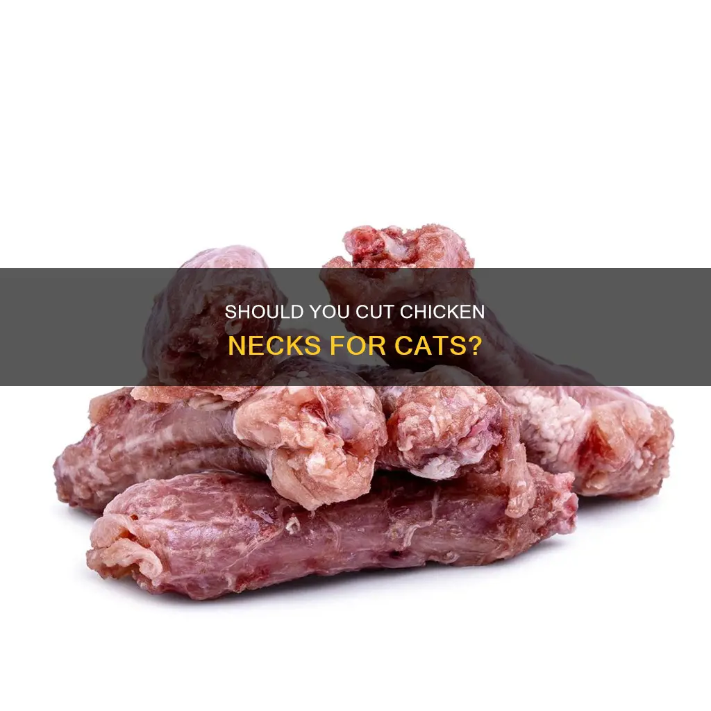 do i have to cut chicken necks for cats