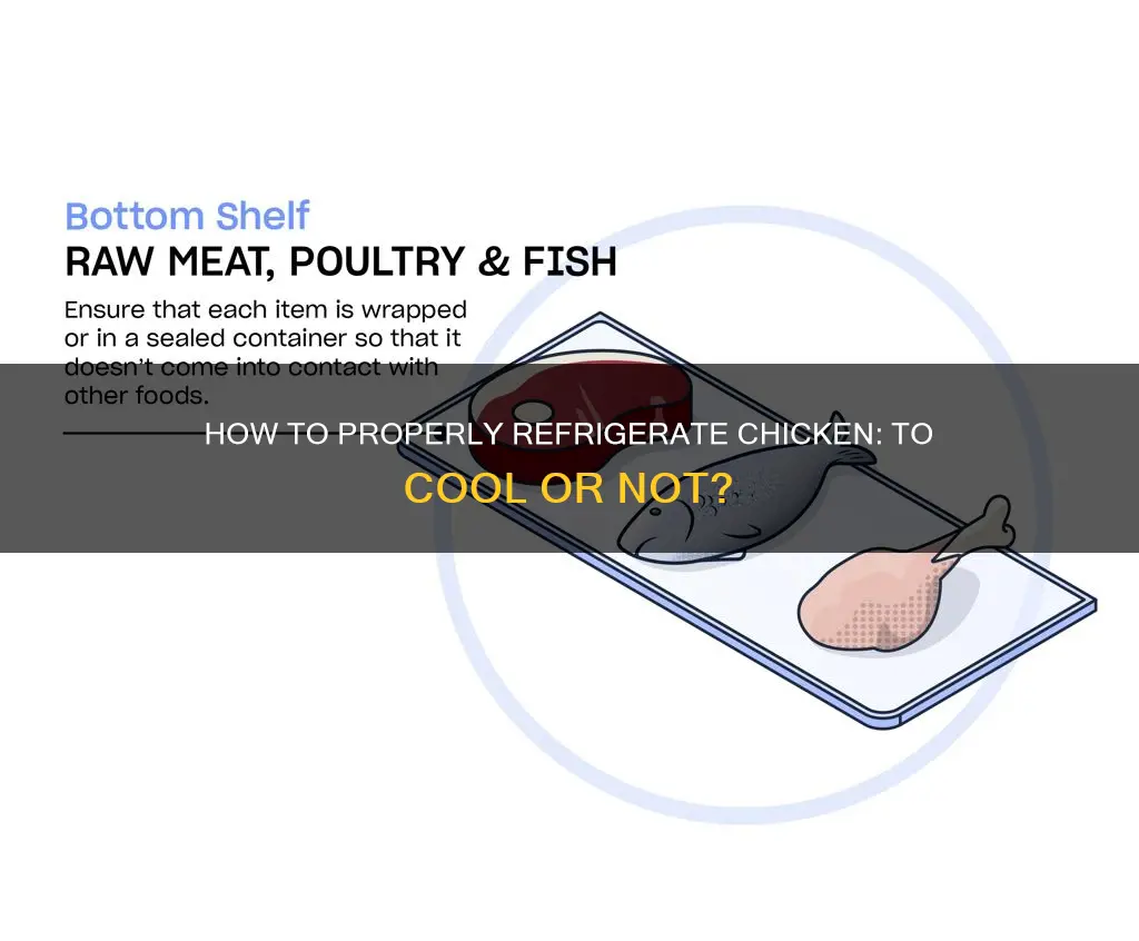 do i have to let chicken cool before refrigerating