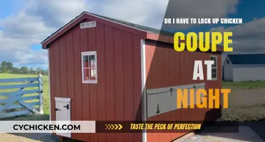 Protecting Your Chickens: Securing the Coop at Night