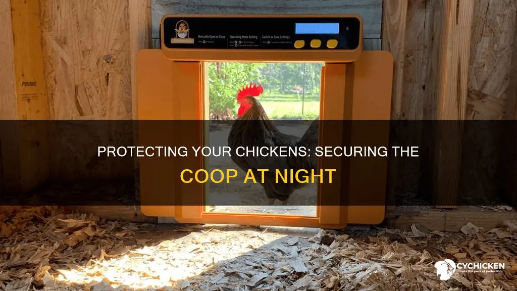 do i have to lock up chicken coupe at night