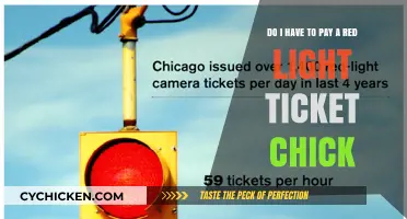 Red Light Ticket Chick: Is it a Scam?