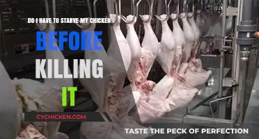 The Best Way to Prepare Your Chicken for Slaughter