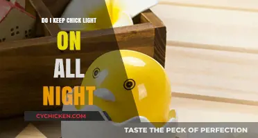 Should You Keep the Chick Light On All Night?