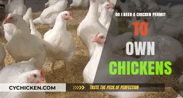 Understanding Chicken Permit Requirements for Owning Chickens