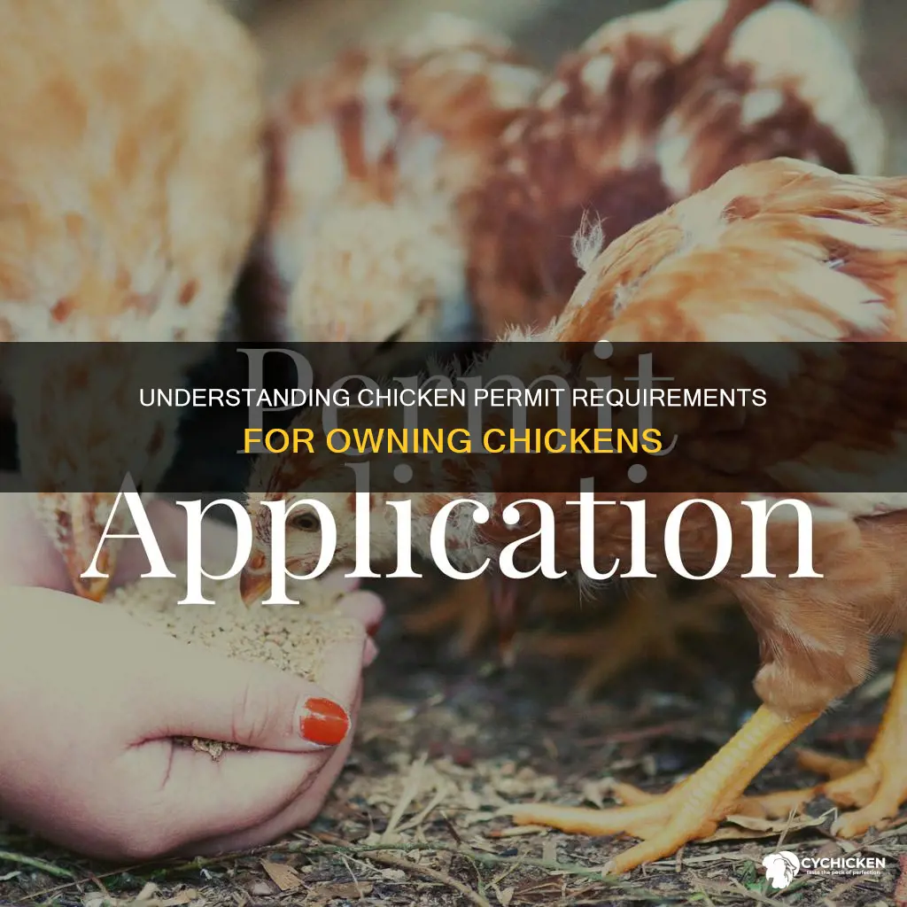 do i need a chicken permit to own chickens