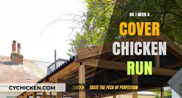 Should You Add a Cover to Your Chicken Run? Pros and Cons