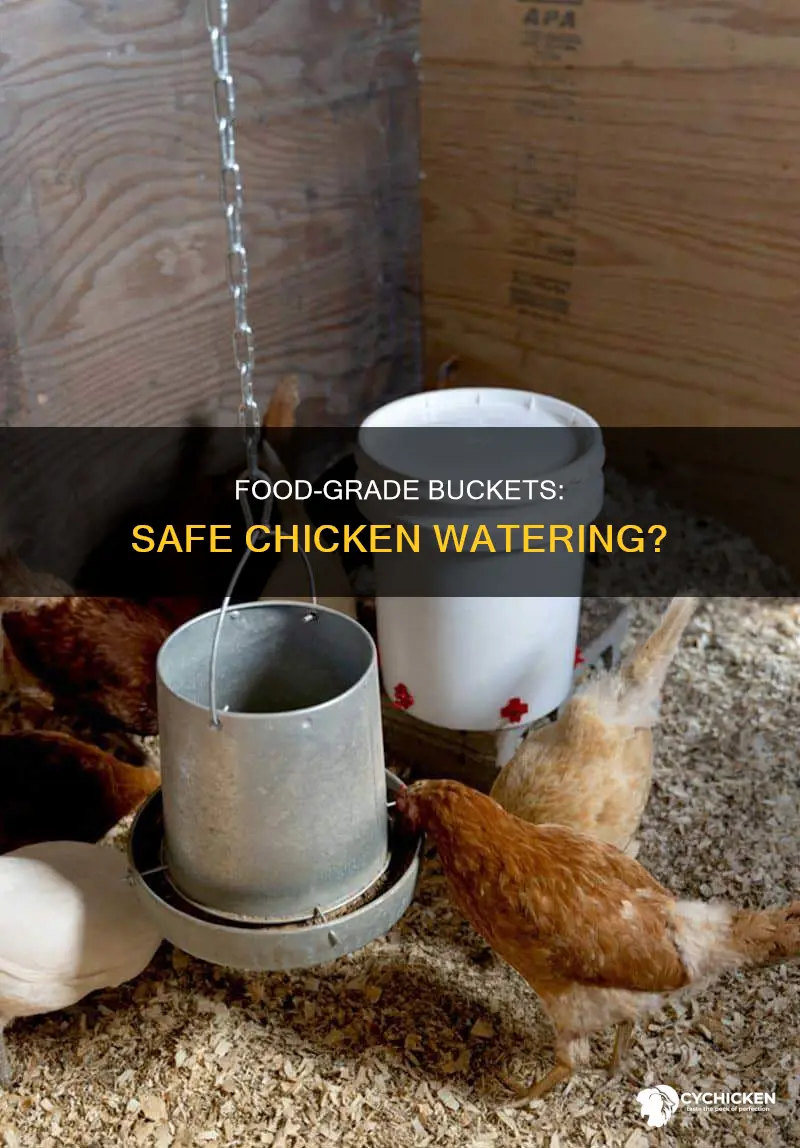 do i need a food grade bucken for chicken water
