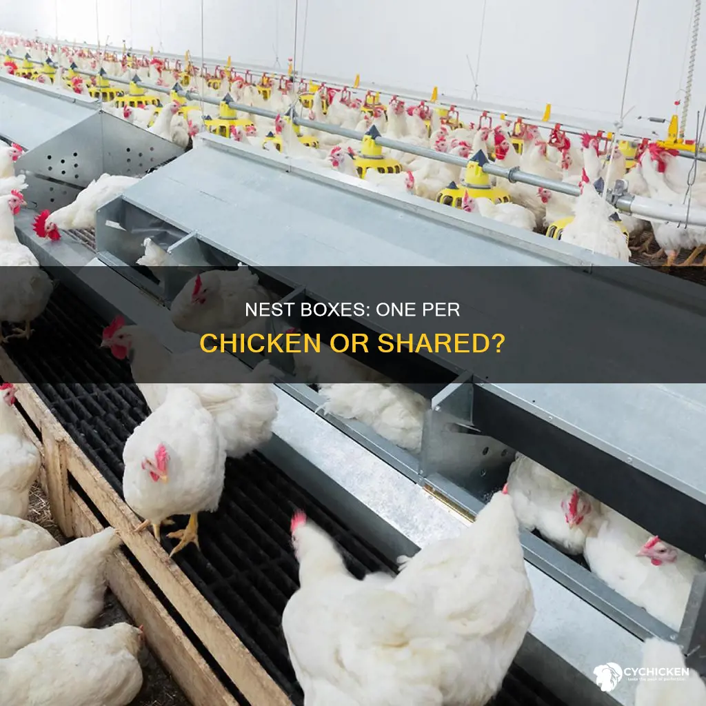 do i need a nest box for each chicken