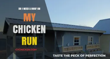 Chicken Runs: Roofs, Are They Necessary?