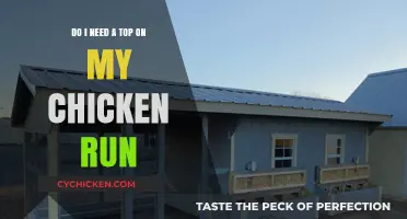 Chicken Run Tops: Necessary or Not?