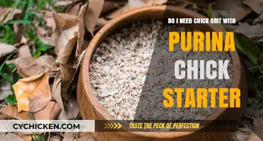 Chick Grit: Necessary Add-on to Purina Chick Starter?