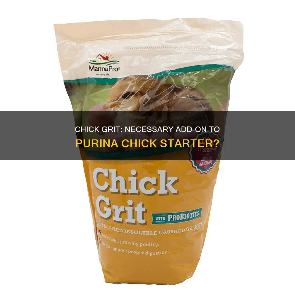 do i need chick grit with purina chick starter
