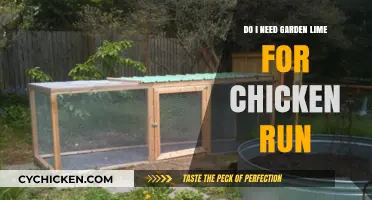 Garden Lime for Chicken Runs: Essential or Optional? Expert Tips