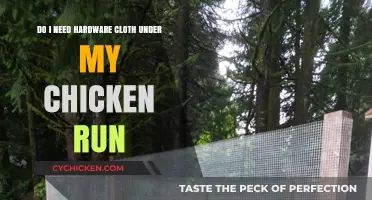 Protecting Your Chicken Run: Hardware Cloth Essential?