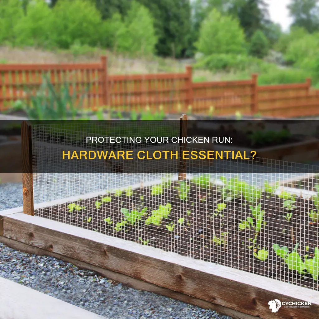 do i need hardware cloth under my chicken run