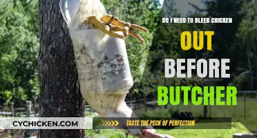 How to Butcher a Chicken: Do You Need to Bleed It Out?